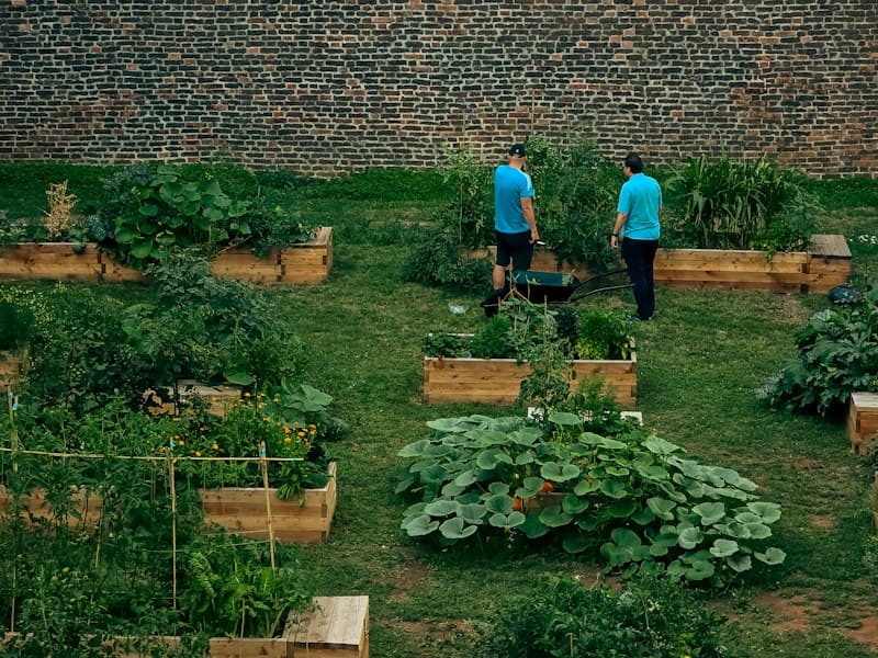 Two people tending a community garden